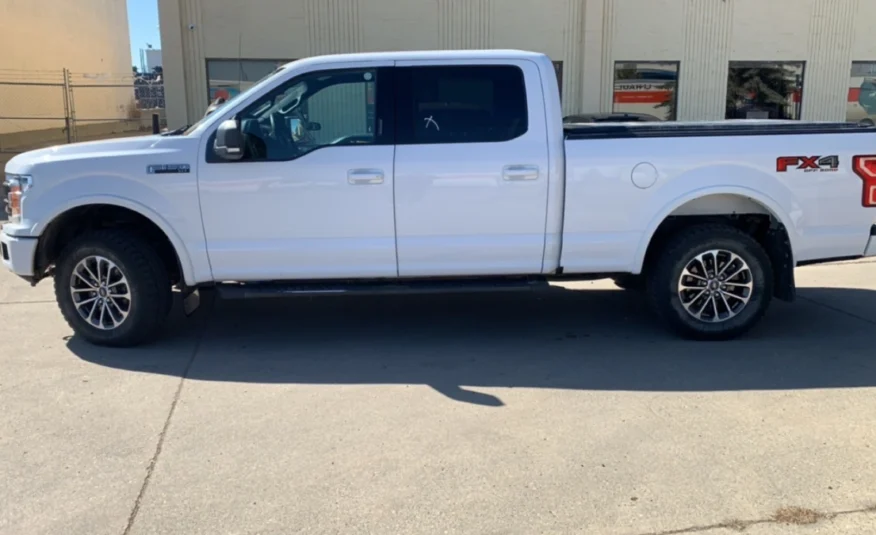 2019﻿ ﻿Ford﻿ ﻿F-150﻿ ﻿XLT