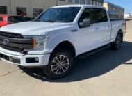 2019﻿ ﻿Ford﻿ ﻿F-150﻿ ﻿XLT