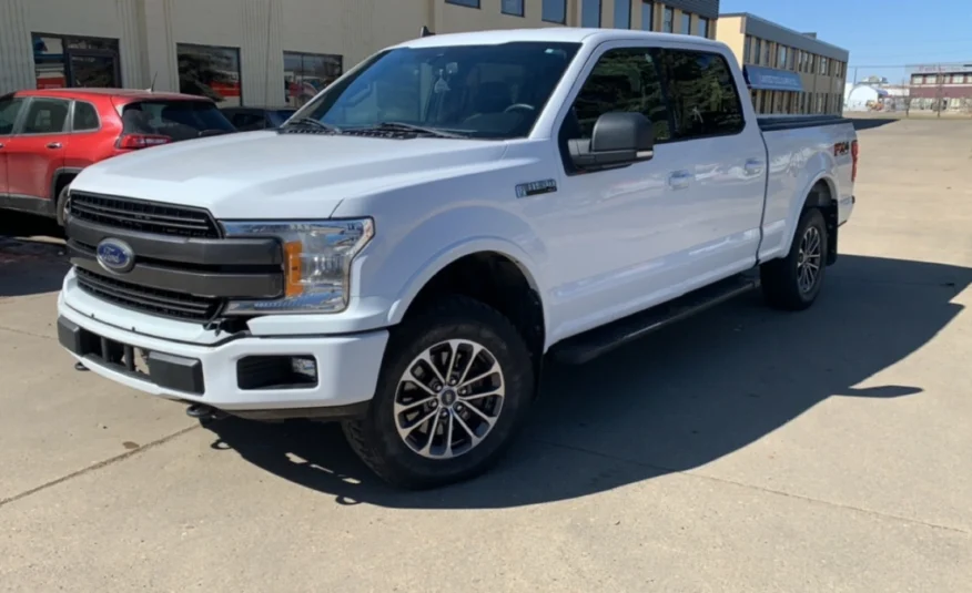 2019﻿ ﻿Ford﻿ ﻿F-150﻿ ﻿XLT