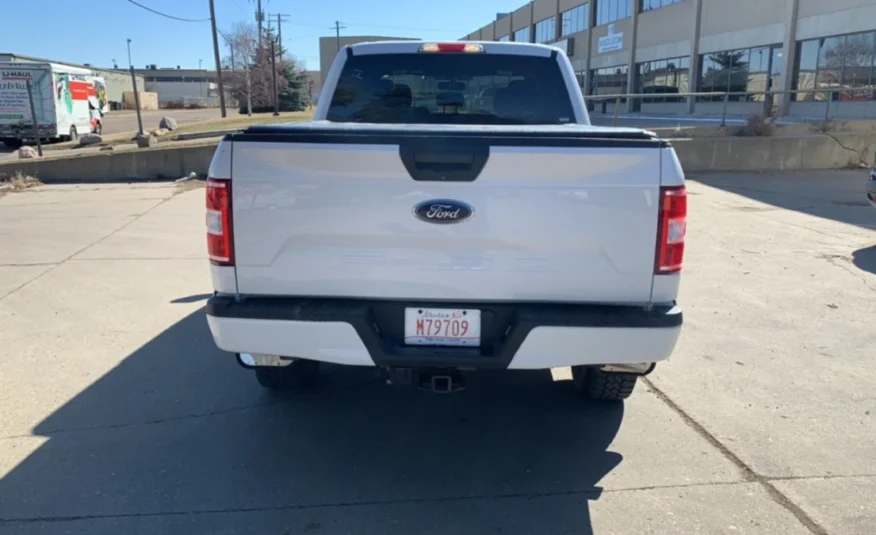 2019﻿ ﻿Ford﻿ ﻿F-150﻿ ﻿XLT