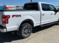 2019﻿ ﻿Ford﻿ ﻿F-150﻿ ﻿XLT