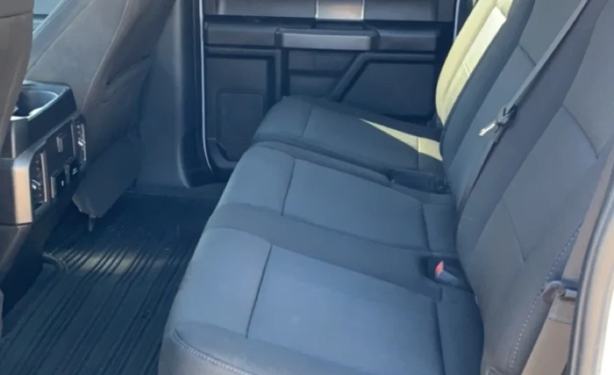 2019﻿ ﻿Ford﻿ ﻿F-150﻿ ﻿XLT