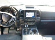 2019﻿ ﻿Ford﻿ ﻿F-150﻿ ﻿XLT