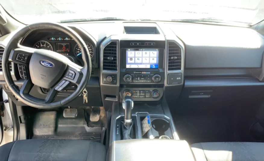 2019﻿ ﻿Ford﻿ ﻿F-150﻿ ﻿XLT